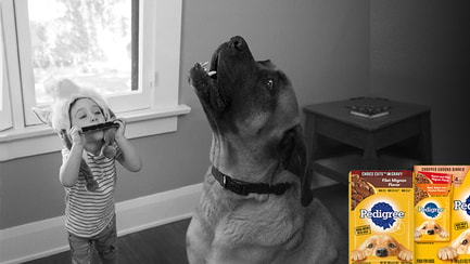 child playing the harmonica and large dog dog howling to the sound with pedigree pouches packages overlay