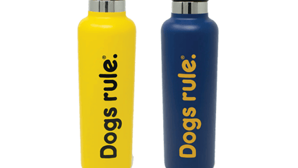 Housewares bottles - blue and yellow