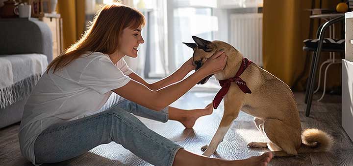 woman petting dog with both hands behind the ear inside home