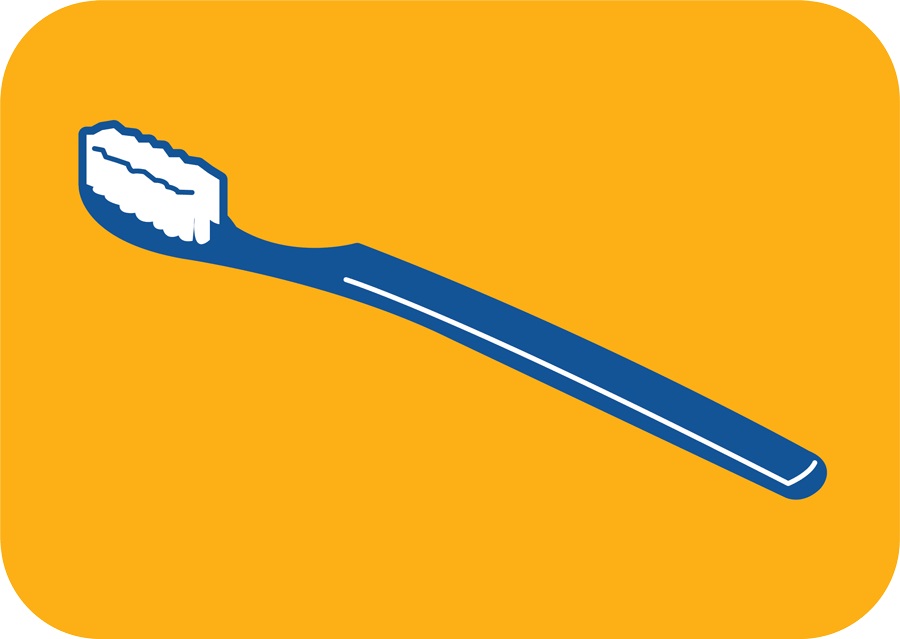 pedigree illustration toothbrush